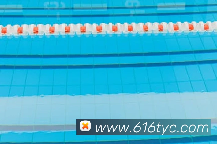 太阳城官网平台生态图