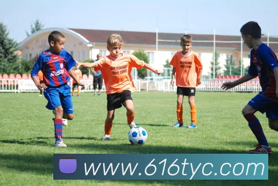 太阳城官网APP 封面图